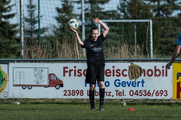 Bild 240 - C-Juniorinnen SV Steinhorst/Labenz - TSV Friedrichsberg-Busdorf : Ergebnis: 5:0